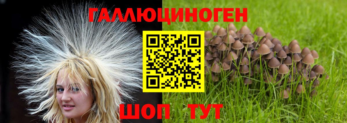 Надым  Псилоцибиновые грибы Cubensis  Вход с VPN 